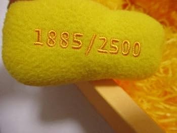 41fIBLh+l0L._AC_UF350,